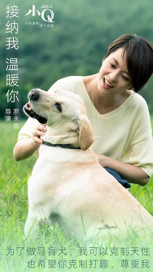 pmp证书电子版在哪里下载